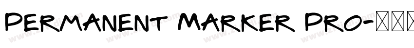 Permanent Marker Pro字体转换 Permanent Marker Pro字体转换